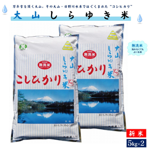 [新米]令和6年度 大山しらゆき米10kg(無洗、コシヒカリ、5kg×2) 無洗米 こしひかり