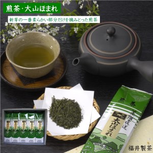 「煎茶 大山ほまれ」100g×5本セット