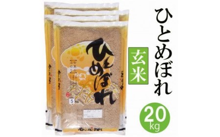 令和4年産 新米・玄米 ひとめぼれ　20kg (玄米・5kg×4)