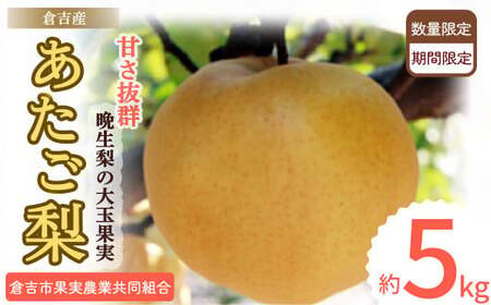  yqgYz Tiqgsʎ_Ƌgj   Ȃ  5kg ʕ t[c a s\ ʌ lߍ킹 Â W[V[  炩 lC     