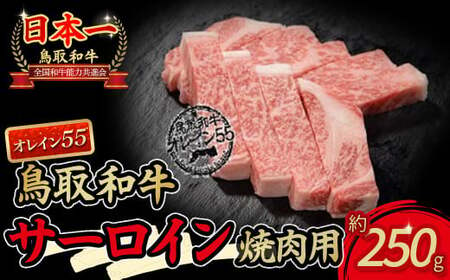 鳥取和牛 オレイン55サーロイン焼肉用お肉 肉 牛肉 和牛 鳥取和牛 牛肉 肉 国産 お肉 冷凍焼き肉 牛肉 焼き肉用 サーロイン オレイン55 牛肉