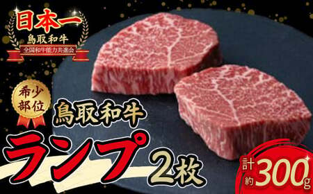 鳥取和牛 希少部位ステーキ「ランプ」お肉 肉 牛肉 和牛 鳥取和牛 牛肉 肉 国産 お肉 冷凍ランプ ランプステーキ 希少部位 ステーキ ランプ