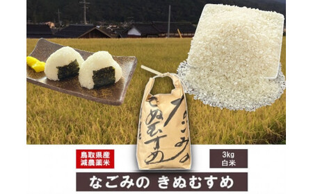 令和6年産 なごみのきぬむすめ(3kg) 新米 お米 米 こめ コメ 白米 ブランド おいしい 健康 産地直送 米3キロ きぬむすめ 倉吉