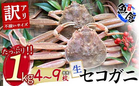 訳ありたっぷりカニ1kgセット(生)不揃いサイズ セコガニ(親ガニ、せいこがに)[魚倉]セコガニ 親ガニ せいこがに 訳あり セコガニ 親ガニ せいこがに 訳あり セコガニ 親ガニ せいこがに 訳あり セコガニ 親ガニ せいこがに 訳あり