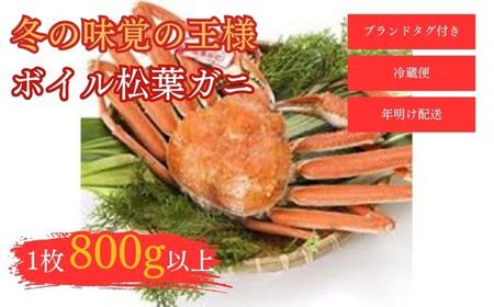 [和星水産]タグ付き ボイル松葉ガニ 1枚(800g以上) 年明け配送 松葉ガニ カニ ズワイガニ カニ爪 ボイル タグ付き 冷蔵 ずわいがに 国産 新鮮 鳥取県 倉吉市