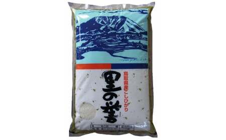 鳥取県産コシヒカリ(5kg)令和5年産 新米 お米 米 こめ コメ 白米 こしひかり コシヒカリ