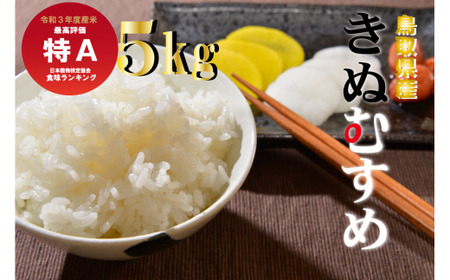 鳥取県産きぬむすめ(5kg)令和5年産 新米 お米 米 こめ コメ 白米 きぬむすめ