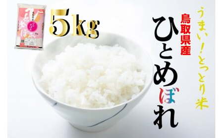 鳥取県産ひとめぼれ(5kg)令和5年産 新米 お米 米 こめ コメ 白米 ひとめぼれ