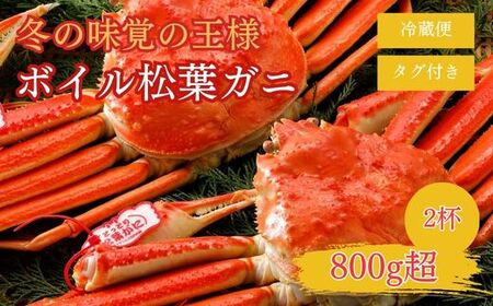  t y^Otz 800g̑傫TCY 2t {C i11jN8_Y tKj