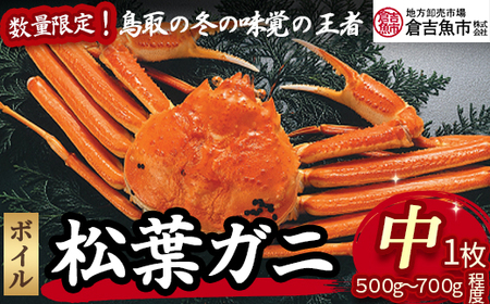 [倉吉魚市]ボイル松葉がに(中 1枚:500g〜700g程度) 松葉ガニ かに カニ 蟹 ボイル 新鮮