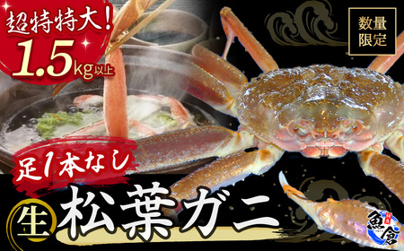 [魚倉]足1本なし生松葉ガニ(特特大1,500g以上) 訳あり 松葉ガニ カニ ズワイガニ カニ爪 冷蔵 かにしゃぶ カニ刺身 ずわいがに 国産 わけあり 足欠け 足かけ 特大