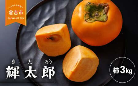 早生甘柿 輝太郎(きたろう) 3kg 柿 果物 フルーツ 期間限定 数量限定 高糖度 大玉 早生 甘カキ 甘柿 新品種 ポリフェノール タンニン 鳥取県 倉吉市