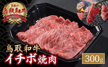 鳥取和牛 イチボ焼肉 300g 牛肉 希少 イチボ 焼肉 焼き肉 冷凍 国産牛 和牛 黒毛和牛 鳥取県 倉吉市