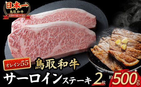 鳥取和牛 オレイン55 サーロインステーキ 2枚 (500g) 国産 牛肉 和牛 黒毛和牛 サーロイン ステーキ サーロインステーキ 高級 希少 鳥取県 倉吉市 KR1288 サーロインステーキ サーロイン ステーキ サーロインステーキ