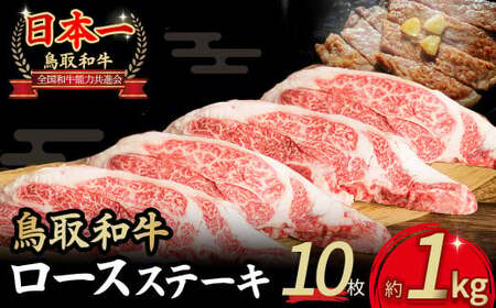 a [XXe[L 10 ( 1kg ) Y uh  Xe[L  a јa  [X Ⓚ 挧 qgs KR1361