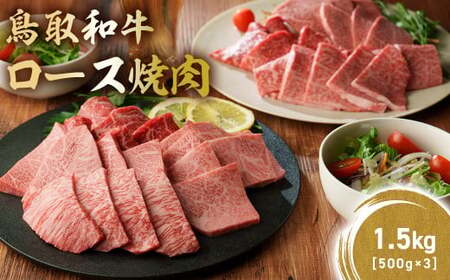 a ɏネ[Xē 1.5kg ( 500g × 3 )  a a uha ē ēp Ă Ăp ē[X a[X KR1398