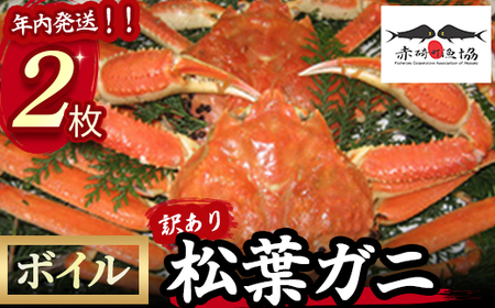 [赤碕町漁業協同組合] 『 訳あり 』松葉ガニ(ボイル)年内発送 着日指定不可 松葉ガニ カニ ズワイガニ カニ爪 冷蔵 かにしゃぶ カニ刺身 ずわいがに 鮮度抜群 国産 高級 鳥取県 倉吉市 ボイル