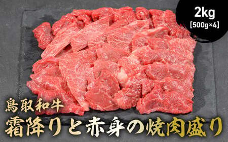 a ~ƐԐg̏ē 2kg ( 500g × 4 )  a a uha ē ēp Ă Ăp ēԐg aԐg ~ [X  o јa KR1465