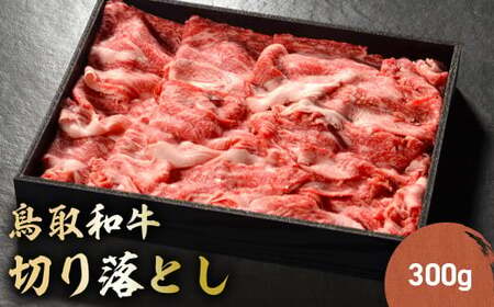 a ؂藎Ƃ 300g ؂藎Ƃ  Y a јa  uh Y 挧 qgs KR1013
