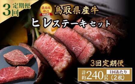 鳥取県産牛 ヒレステーキ 240g×3回 定期便 国産 牛肉 赤身 ヒレ ステーキ 冷凍 定期便 肉 おすすめ 希少部位 ブランド牛 フィレ 倉吉市 ヒレステーキ ヒレステーキ ヒレステーキ ヒレ ヒレ ヒレ