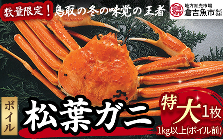 [倉吉魚市]ボイル松葉がに(特大)ボイル前 1kg以上 松葉ガニ ズワイガニ