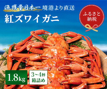 [蟹セレブ]ズワイガニ(紅ズワイガニ)]1.8kg箱詰め(3〜4杯) 冷蔵 カニ ボイル 紅ズワイガニ 新鮮 ズワイガニ ずわいがに 期間限定 国産 鳥取県 倉吉市