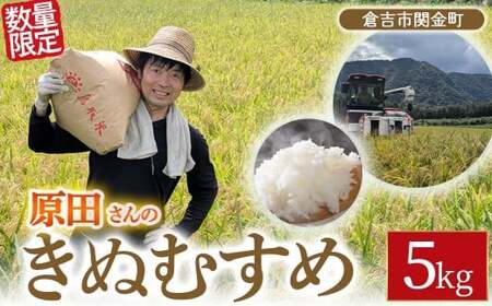 [新米][在庫限定]令和7年産米 原田さんのきぬむすめ 5kg (原田農園)数量限定 新米