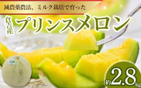 プリンスメロン[倉吉産] 約2.8kg (2025) 鳥取 果物 フルーツ メロン プリンスメロン 数量限定 期間限定 鳥取県 倉吉市 プリンスメロン プリンスメロン プリンスメロン プリンスメロン プリンスメロン プリンスメロン