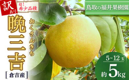[希少梨]訳あり 晩三吉 5kg(5〜12玉) 倉吉産 福井果樹園 おくさんきち 梨 なし ナシ ブランド梨 冬梨 希少品種 果物 フルーツ 和梨 数量限定