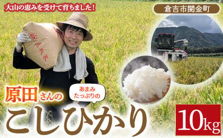 [期間・在庫限定]原田さんのこしひかり 10kg 数量限定 精米 お米 米 こめ コメ 白米 こしひかり コシヒカリ ブランド米 ごはん ゴハン ご飯 米 米 米 米 米 米