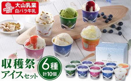 [大山乳業]収穫祭 アイス6種セット (大山乳業 詰め合わせ カップアイス シャーベット ミルク いちご ブルーベリー クリームチーズ 新甘泉アイス カッサータ 抹茶 スイーツ 食べ比べ アイスクリーム 人気 倉吉 倉吉市)