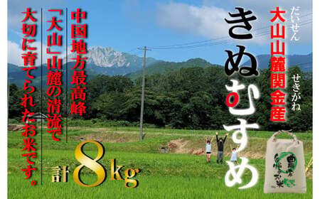 [令和7年産米] [数量限定]大山山麓関金産 きぬむすめ 8kg (5kg×1袋、3kg×1袋) 令和7年産 新米 お米 米 こめ コメ 米 こめ コメ 米 こめ コメ 米 こめ コメ 白米 ブランド おいしい 健康 産地直送 きぬむすめ