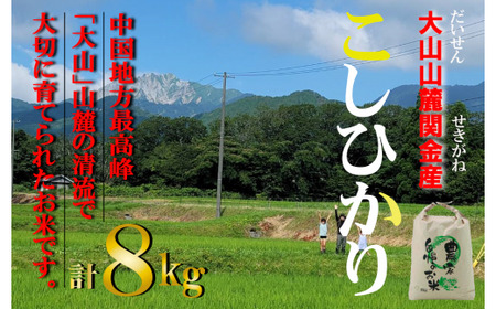 [令和7年産米] [数量限定]大山山麓関金産 コシヒカリ 8kg (5kg×1袋、3kg×1袋) 令和7年産 新米 お米 米 こめ コメ 米 こめ コメ 米 こめ コメ 白米 ブランド おいしい 健康 産地直送 コシヒカリ