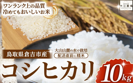 ※10月配送分[令和7産米]倉吉市産 コシヒカリ 10kg(5kg×2袋)大江農場 数量限定 新米