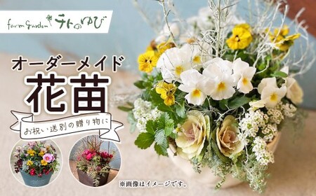 オーダーメイド型(花苗) 花 寄せ鉢 贈り物 プレゼント 記念日 お祝い