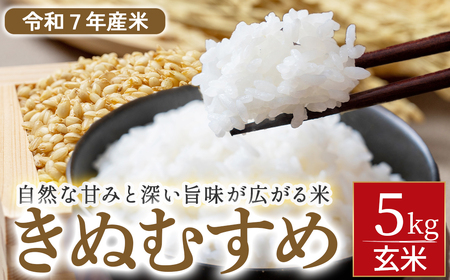 yߘaVNYāzʂނ  5kgi ʌ ʂނ   đ j