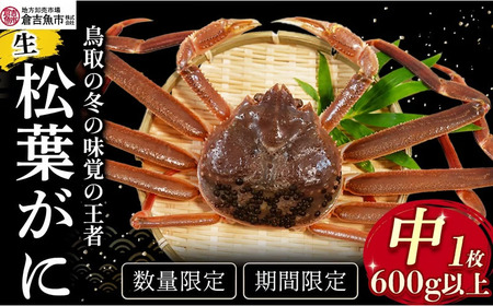 yqgsztɁij600gȏ tKj YCKj ① ɂ Jjhg 킢 NxQ 挧 qgs