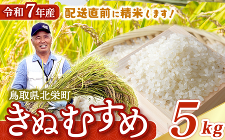 [新米][在庫限定]令和7年産米 きぬむすめ 5kg (大上農園)数量限定 お米 こめ 白米 きぬむすめ