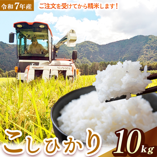 【在庫限定】令和7年産米 コシヒカリ 10kg （山崎農園）数量限定 米 きぬむすめ