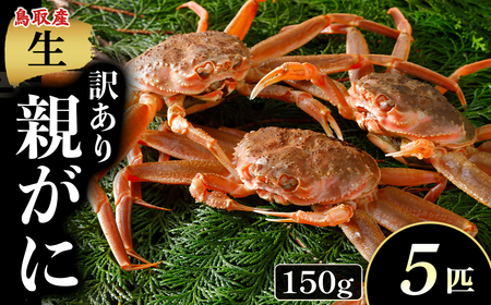 �y�N�������z�y�󂠂�z�y���e���� 150g 5�C�z �J�j  �Y���C�K�j ���t�K�j N97_I