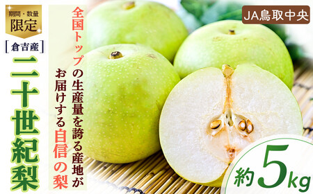 二十世紀梨 【倉吉産】5kg（JA鳥取中央） 梨 鳥取 果物 フルーツ 和梨 先行予約 数量限定 詰め合わせ 二十世紀梨 20世紀梨 梨 梨 梨 梨 梨 梨