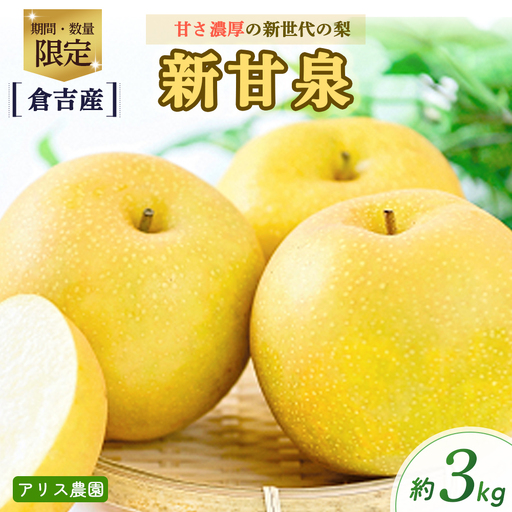 新甘泉3kg [倉吉産](アリス農園) 梨 和梨 新甘泉 しんかんせん