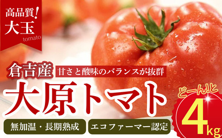 大原トマト[倉吉産] トマト 甘い 人気 4kg とまと 野菜 サラダ 鳥取県 倉吉市