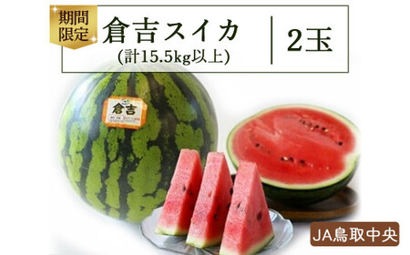 倉吉スイカ 2玉 【JA鳥取中央】 すいか 鳥取 大玉 2玉 果物 フルーツ スイカ 数量限定 期間限定 スイカ スイカ スイカ スイカ スイカ スイカ