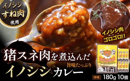 イノシシカレーセット(10個) カレー レトルト レトルトカレー 猪肉 カレー レトルト レトルトカレー 猪肉 カレー レトルト レトルトカレー 猪肉 カレー レトルト レトルトカレー 猪肉