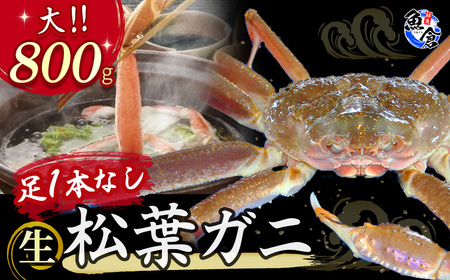 [魚倉] 訳あり足1本無し 生松葉ガニ(大800g) 訳あり わけあり 松葉ガニ 訳あり松葉ガニ 生松葉ガニ かに カニ 蟹 ズワイガニ ずわいがに