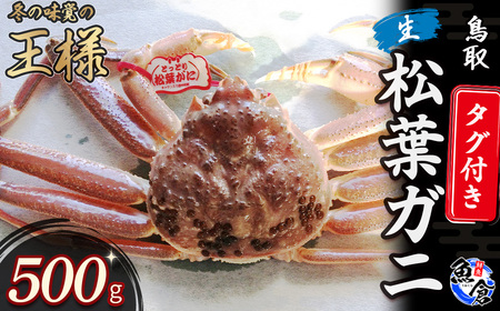 タグ付き生松葉ガニ(500g)かに カニ 蟹 生 新鮮 かに カニ 蟹 松葉ガニ 松葉がに かに カニ 蟹 生 ズワイガニ カニ爪 タグ付き 冷蔵 かにしゃぶ カニ刺身 ずわいがに 鮮度抜群 期間限定 鳥取県 倉吉市[魚倉]