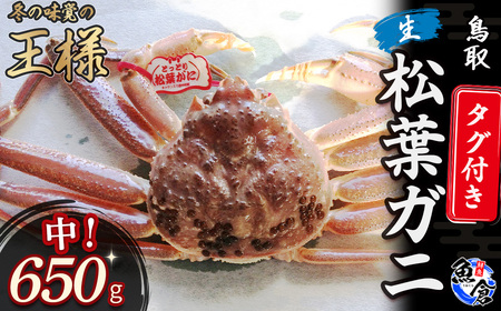 タグ付き生松葉ガニ(中650g)かに カニ 蟹 生 新鮮 かに カニ 蟹 松葉ガニ 松葉がに かに カニ 蟹 生[魚倉]