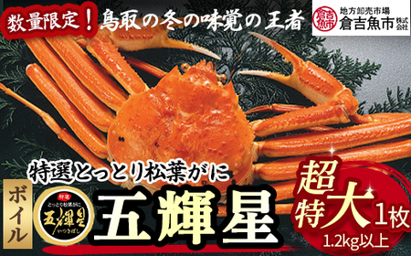 [倉吉魚市]五輝星ボイル松葉がに(超特大1.2kg以上)数量限定品 カニ 蟹 ボイル 新鮮 松葉ガニ ズワイガニ 五輝星