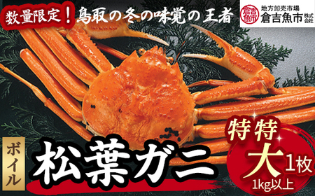 [倉吉魚市]ボイル松葉がに 1kg以上(特特大) 松葉ガニ かに カニ 蟹 ボイル ズワイガニ ずわいがに